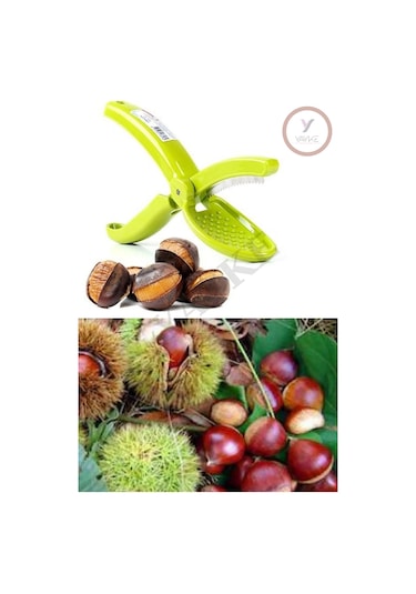 Yayke Kestane Bıçağı, Kestane Çizici, Kestane Kesici