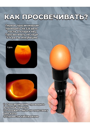 Mixdazzle Yumurta Kontrolü İçin Kuluçka Ovoskopu 396985746