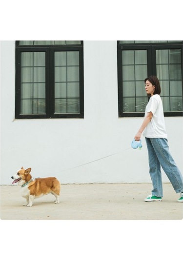 Soulader Otomatik Geri Saran Köpek Tasması, Işıklı Gece Yürüyüş İpi, Küçük Ve Orta Irk Evcil Hayvanlar İçin Güvenlik Kayışı