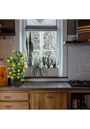 Limon Ağacı Mutfak Süsü 50 Cm Antrasit Saksıda