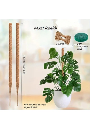 Bitki Tırmanma Braketi Sarmaşık Ve Çiçekler İçin Dayanıklı Destek Aparatı