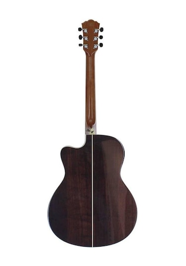 Washburn Ag70Ce  Apprentice  Elektro Akustik Gitar