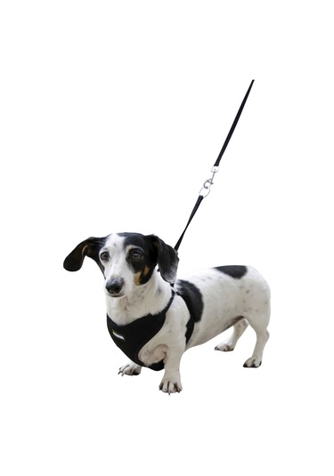 Kerbl Yavru Köpek Göğüs Tasması Siyah 30 - 50 CM Siyah