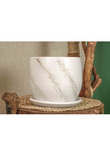 Bitki Tasarımı Beyaz Üzeri Gold Tabaklı Terracota Toprak Saksı Saksılık Salon Çiçeklik 19 Cm