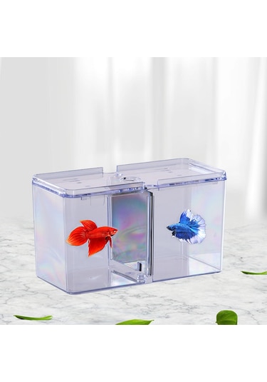 Suntek Balık Yetiştirme Kutusu Tank Kuluçkahane Kuluçka