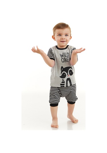 Denokids Rakun Erkek Bebek T-shirt Kısa Pantolon Takım Gri