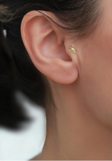 14 Ayar Altın Akrep Tragus Piercing Sarı