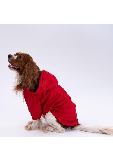 Kırmızı Mont Köpek Mont Köpek Kıyafeti Köpek Yağmurluğu Küçük-büyük Irklar