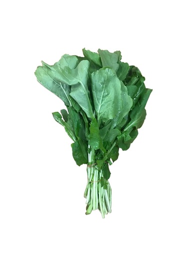 Roka Tohumu 100 Tohum + Tohum