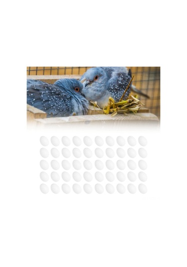 Yuntech01 50 Adet Plastik Somut Güvercin Yumurtası - Yetiştirme İçin Yaratıcı Kuluçka Yardımcısı - Ortam Dostu Ve Güvenli Malzeme