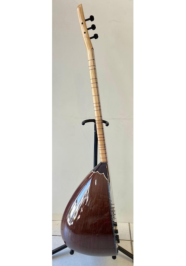 Solak Elektro Bağlama (Leslili)