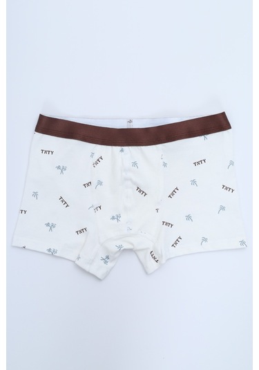 Toontoy Erkek Çocuk Çok Desen Baskılı 4lü Paket Boxer Çok Renkli