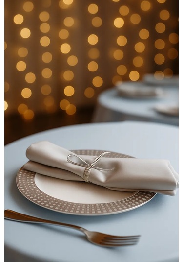 Jolly Seller Tek Kullanımlık Plastik Çatal Seti 436468451 100 adet