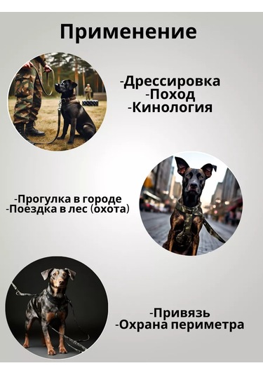 Tehpro44 Yenilenmiş Katlanır Köpek Tasması 5 Metre 144531930 Siyah