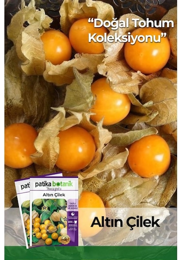 30 Adet Altın Çilek Tohumu