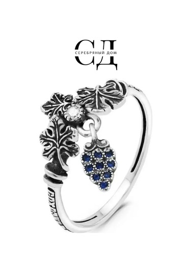 Serebranyj Dom 925 Ayar Gümüş "kurtar Ve Koru" Doğrudan Dini Yüzük 25773455 Gri