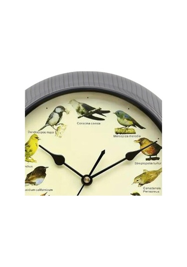 Pazly Suntek Ses Saati Pille Müzikal Kuşlar Gri-25cm Gri Duvar Çalışan 25cm Bz Çok Renkli