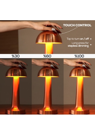 Cata CT-8430 Retro Bakır Dokunmatik Şarjlı Led Masa Lambası