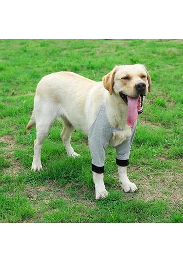 Homyl Köpek Dizlik Bacak Koruyucu Bileklik Köpekler L-gri