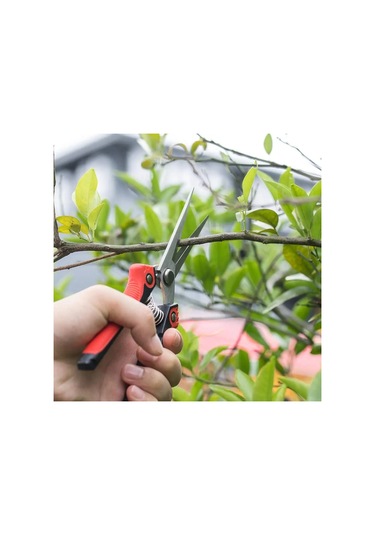 Budama Makası Makas Ağır Paslanmaz Çelik Ultra Keskin El Budama Makası Bahçe Mavi