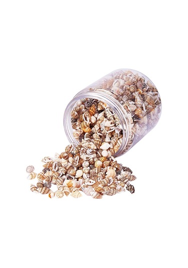 Suntek 1 Kutu Çok Çeşitli Doğal Kabuklu Kabukları Plaj Deniz