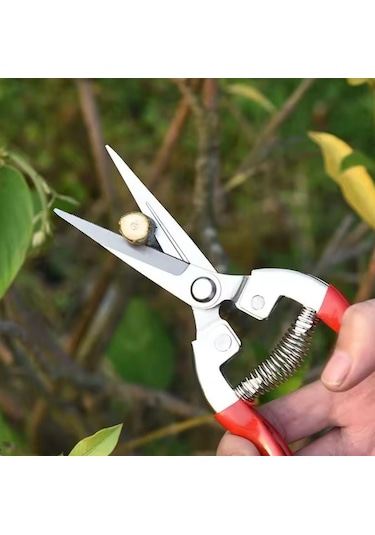 Bitkiler Ve Çiçekler Için Bahçe Budama Makası Üzüm Bağı Dal Fidan Budama Makası