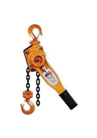 Big Lift Hubzug 1.5 Ton 1.5 M