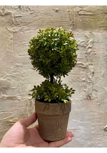 Minimalist Çift Katlı Yeşim Topiary Aranjmanı 24 Cm X 10 Cm Yeşil