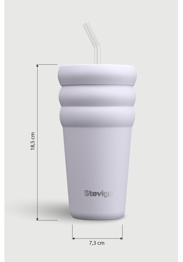 Stevig 3 Bubble Two-cap Straw Tumbler Çelik Termos 600 Ml Lilac Hint St-245 Lila
