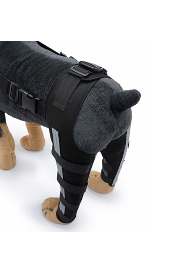 Homyl Köpekler Arka Bacaklar Dizlik Siyah-mavi-küçük