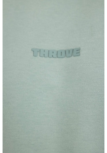 DeFacto Regular Fit Bisiklet Yaka Baskılı Ağır Kumaş Kısa Kollu Tişört C6139AX24AUGR488