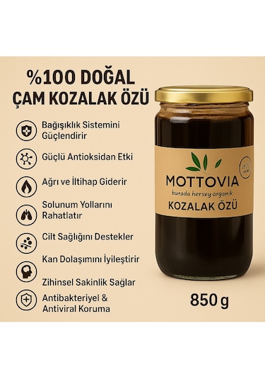 Organik Çam Kozalak Özü Pekmezi