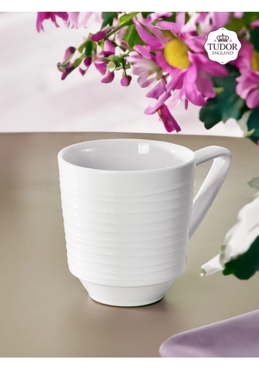 Tudor England Royal Circle 350 Ml Porselen Çay Fincanı, 2'li Set 418601057 Beyaz