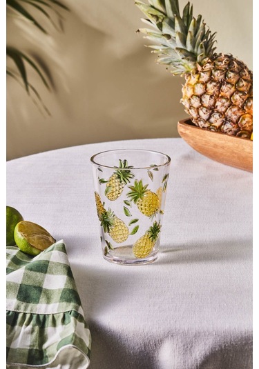 Karaca  Pina Akrilik Su Bardağı 440 ml Şeffaf