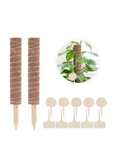 Suntek 30/40/50cm Hindistan Cevizi Totem Direği Uzatılabilir 50cm