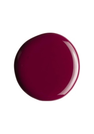 Alix Avien Bordo Oje 21 Yüksek Pigmentli Uzun Süreli Kalıcılık Hızlı Kuruma Nail Lacquer 21