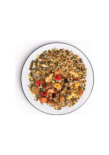 Gold Wings The Best Meyveli Papağan Yemi 1.25 Kg