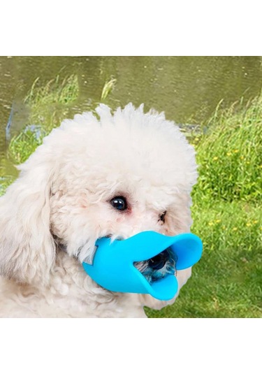 Homyl Küçük Orta Köpekler Için Köpek Ağızlığı M