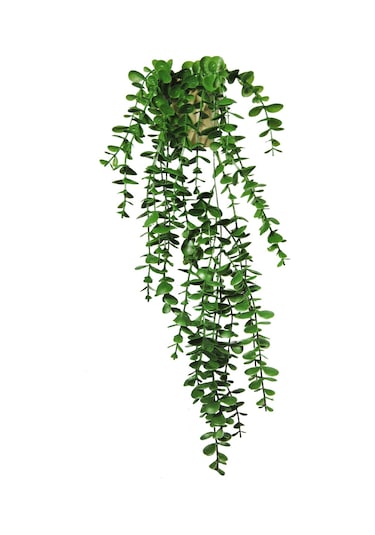 Yapay Çiçek Elmas Gold Saksıda  Yeşil Okaliptus Sarkıtı Yeşil