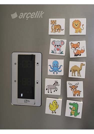 Efe'nin Hayvanat Bahçesi Seri-2 / Manyetik Eğitici Oyuncak