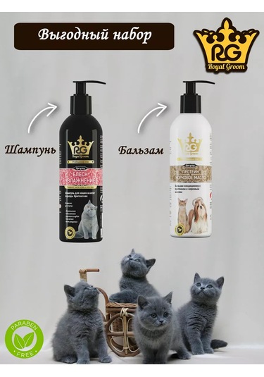 Apicenna Royal Groom Kedi Tıraş Seti 191174522