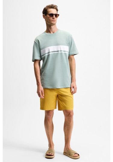 LAMINE Erkek Baskı Ve Nakış Detaylı %100 Organik Pamuk Bisiklet Yaka Kısa Kollu Regular Fit Yeşil T-