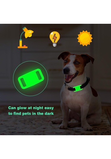 Lichen Şeffaf Aydınlık Yeşil-hava Etiketi Su Geçirmez Ve Kayıp Beyaz