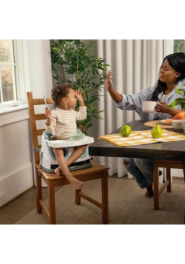 Ingenuity Baby Base Portatif Mama Sandalyesi Mist