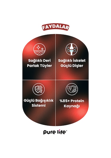 Pure Life Prime Biftekli Yetişkin Köpek Maması 15 KG