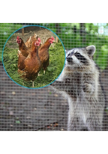 Vixpet Galvanizli Kafes Teli - Kümes Teli - Ufo Isıtıcı Teli Boy 40 CM