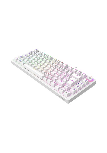 Rampage Enigma 75 USB RGB Kırmızı Switch 1800 Kompakt Mekanik Klavye