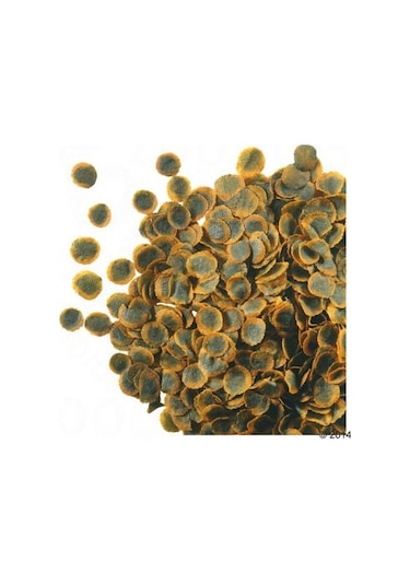 Tetra Pro Algae 500gr ( Kovadan Bölme )