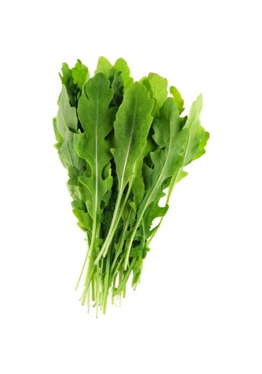 Roka Tohumu Yerli Roka Tohumu Yetiştirme Kiti