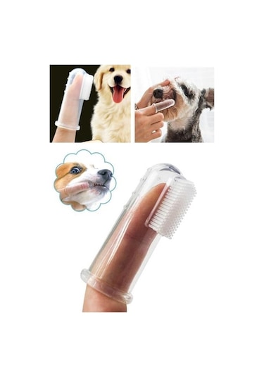 River World Köpekler İçin Diş Fırçası Temizleme Aleti